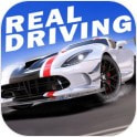真實(shí)公路汽車2中文版